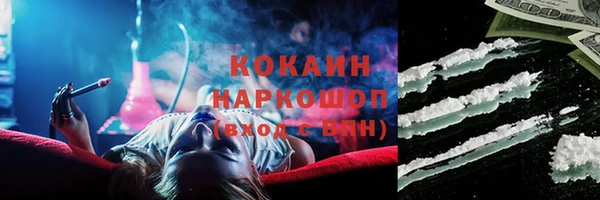 трава Белокуриха