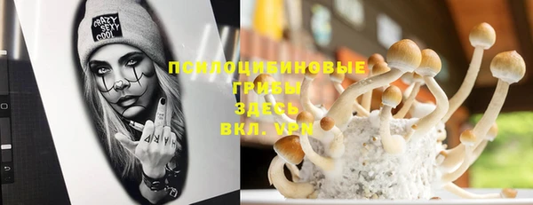 сатива Белоозёрский