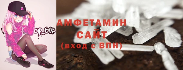 трава Белокуриха