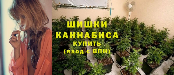 сатива Белоозёрский