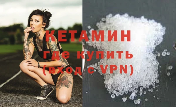 сатива Белоозёрский