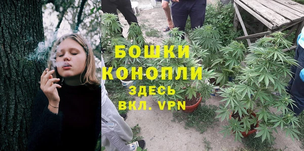 молекула духа Беломорск