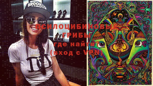 трава Белокуриха