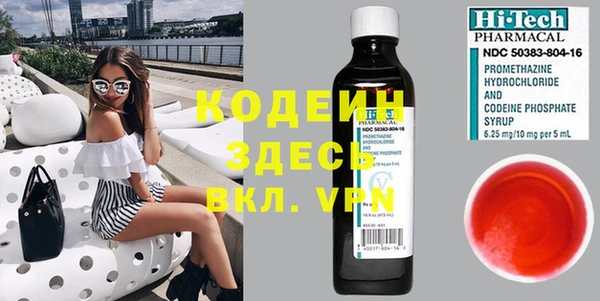 трава Белокуриха