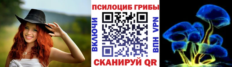 Галлюциногенные грибы Psilocybine cubensis купить площадка официальный сайт Верхняя Пышма