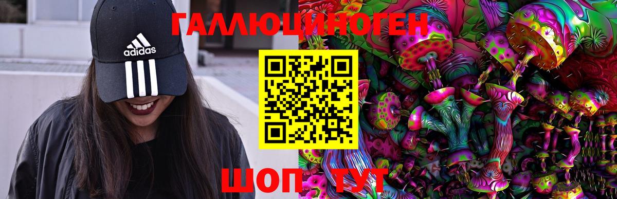 Галлюциногенные грибы ЛСД  купить наркоту  Верхняя Пышма  Галлюциногенные грибы мицелий  Вход с VPN 